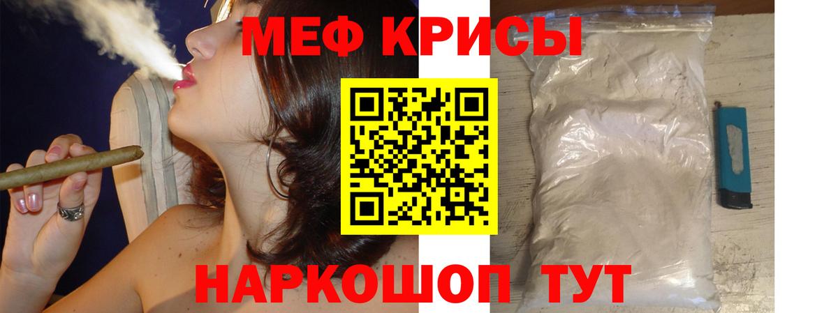 МЯУ-МЯУ мяу мяу  МЯУ-МЯУ  Урус-Мартан  Вход с VPN 