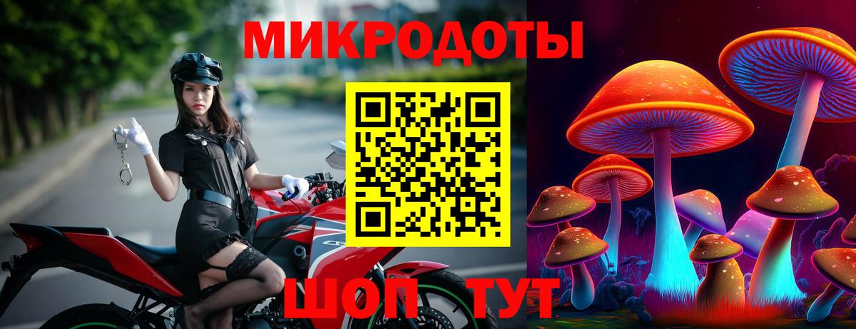 Галлюциногенные грибы Magic Shrooms  Вход с VPN  Псилоцибиновые грибы прущие грибы  Урус-Мартан 